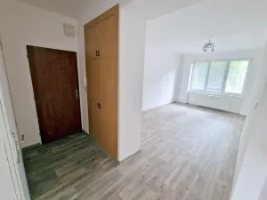 Pronájem bytu 1+1, Příbram, Bratří Čapků, 34 m2