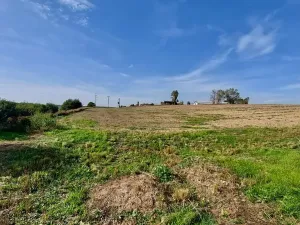 Prodej pozemku pro bydlení, Hrušovany u Brna, Pod Střediskem, 759 m2