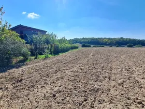 Prodej pozemku pro bydlení, Hrušovany u Brna, Pod Střediskem, 608 m2