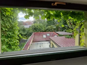 Pronájem rodinného domu, Praha - Břevnov, Na zástřelu, 297 m2