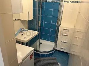 Pronájem pokoje, Praha - Nusle, Oldřichova, 8 m2