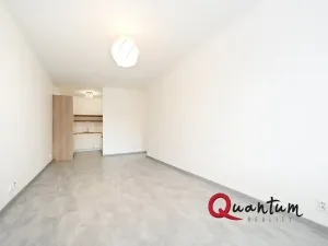 Pronájem bytu 2+kk, Praha, Remízková, 53 m2