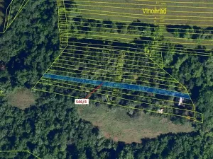 Dražba lesa, Ivančice, 507 m2