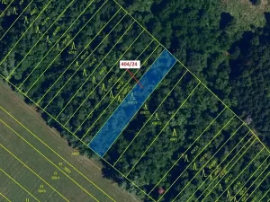 Dražba lesa, Ivančice, 741 m2