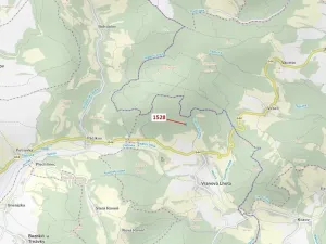 Dražba lesa, Vranová Lhota, 5323 m2