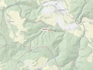 Dražba lesa, Vranová Lhota, 5798 m2