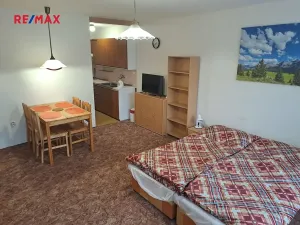 Pronájem bytu 1+kk, Praha - Břevnov, Moravanů, 30 m2