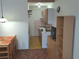 Pronájem bytu 1+kk, Praha - Břevnov, Moravanů, 30 m2