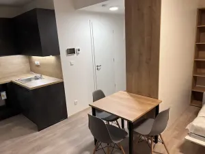 Pronájem bytu 1+kk, Praha - Smíchov, Plzeňská, 41 m2