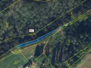 Dražba lesa, Ohnišov, 248 m2