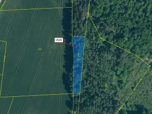 Dražba lesa, Hradiště, 645 m2