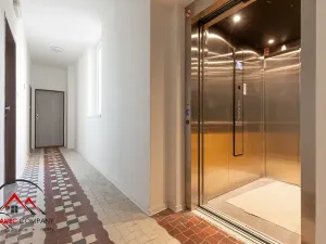 Pronájem bytu 2+kk, Ostrava, Palackého, 50 m2