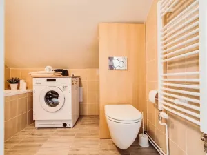 Pronájem bytu 1+1, Praha - Dejvice, Pod kaštany, 35 m2