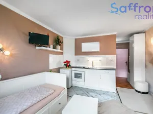 Prodej bytu 1+kk, Plzeň, náměstí Generála Píky, 23 m2