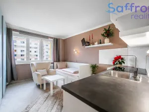 Prodej bytu 1+kk, Plzeň, náměstí Generála Píky, 23 m2