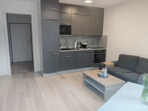 Pronájem bytu 2+kk, Olomouc, 50 m2
