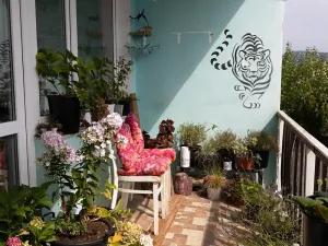 Prodej rodinného domu, Šumperk, Kocourkova, 149 m2