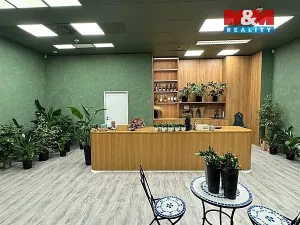 Pronájem obchodního prostoru, Brno - Brno-město, náměstí Svobody, 64 m2