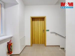 Pronájem bytu 1+1, Plzeň - Jižní Předměstí, Husova, 33 m2