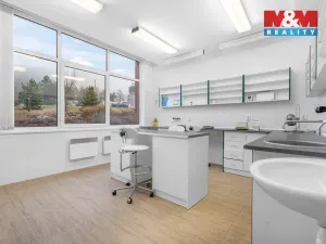 Pronájem obchodního prostoru, Ústí nad Labem - Severní Terasa, Šrámkova, 181 m2