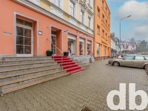 Pronájem bytu 2+1, Karlovy Vary, Vítězná, 54 m2