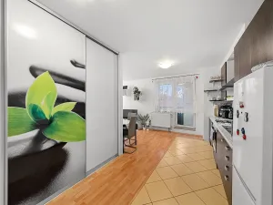 Prodej bytu 1+kk, Drásov, Hradčanská, 39 m2