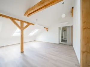 Pronájem bytu 3+kk, Praha - Nové Město, Václavské náměstí, 92 m2