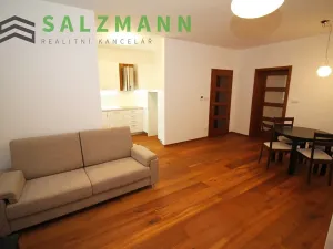 Prodej bytu 2+kk, Plzeň, Divadelní, 57 m2