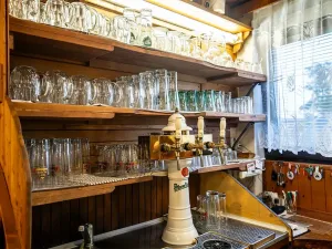 Prodej rodinného domu, Strážné, 450 m2