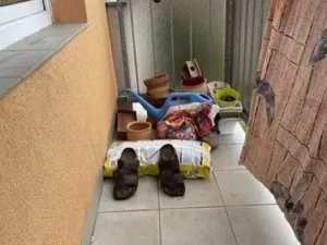 Dražba bytu 3+1, Rychnov nad Kněžnou, SNP, 72 m2