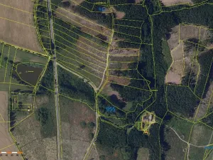Prodej lesa, Česká Bělá, 7690 m2