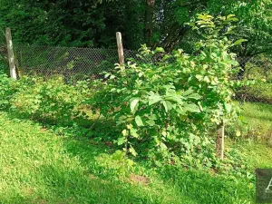 Prodej chaty, Uherský Brod, 25 m2