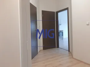 Pronájem bytu 2+kk, Syrovice, 64 m2