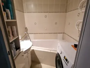 Prodej bytu 3+1, Jičín, Na jihu, 73 m2