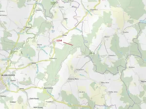 Dražba lesa, Vilice, 2384 m2