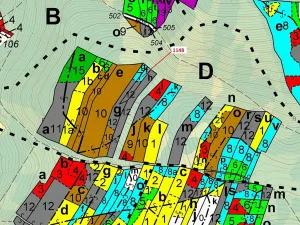 Dražba lesa, Vilice, 1105 m2