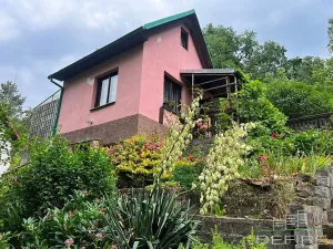 Prodej chaty, Veleň, 45 m2