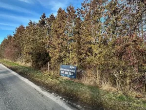 Prodej pozemku pro bydlení, Chotilsko, 4700 m2