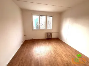 Pronájem bytu 1+kk, Plzeň, Dlouhá, 20 m2