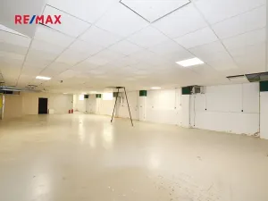Pronájem výrobních prostor, Frýdek-Místek, Třebízského, 200 m2
