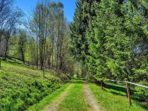 Prodej pozemku pro bydlení, Vítkovice, 21708 m2