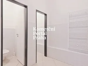 Pronájem obchodního prostoru, Praha - Nové Město, Vodičkova, 311 m2