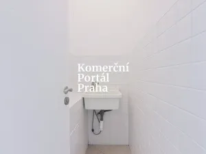 Pronájem obchodního prostoru, Praha - Nové Město, Vodičkova, 311 m2