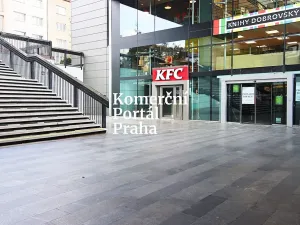 Pronájem obchodního prostoru, Praha - Krč, Olbrachtova, 200 m2