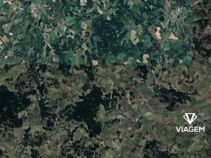 Prodej podílu pole, Nová Buková, 516 m2