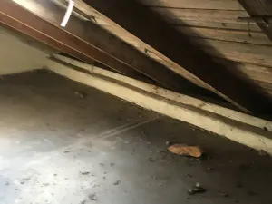 Prodej komerční nemovitosti, Křečhoř, 433 m2