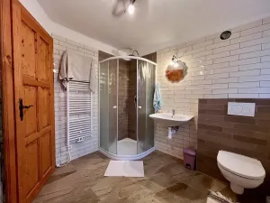 Prodej rodinného domu, Orlické Podhůří, 267 m2