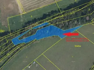 Prodej lesa, Meziříčko, 4066 m2