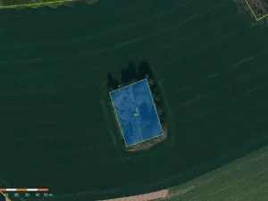 Prodej lesa, Třešť, 1987 m2