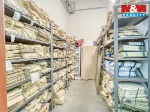 Pronájem skladu, Plzeň - Jižní Předměstí, Husova, 371 m2